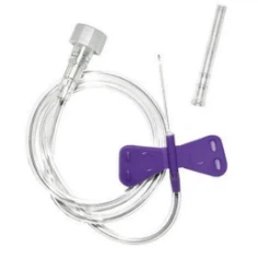 product-236-236 product-236-236