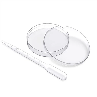 Meidcal Jetable Plastique Tissu Culture Plaque Boîte de Culture Cellulaire Stérilisé 90mm 150mm Boîte de Petri